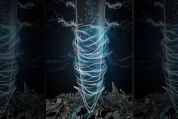 Cảnh báo nguy cơ nhựa nano có thể tích lũy trong rễ cây 