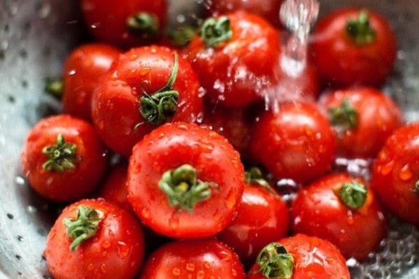 Cà chua là trái cây hay rau củ? Câu hỏi nhiều khi gây rất nhiều tranh cãi 